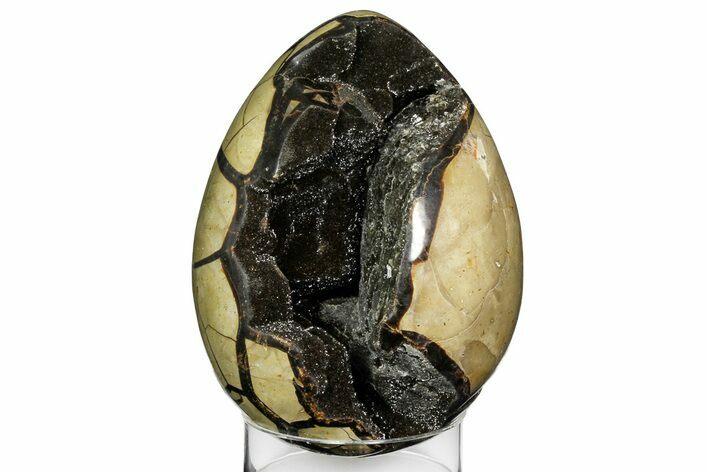 Septarian Dragon Egg Geode - Black Crystals #157899